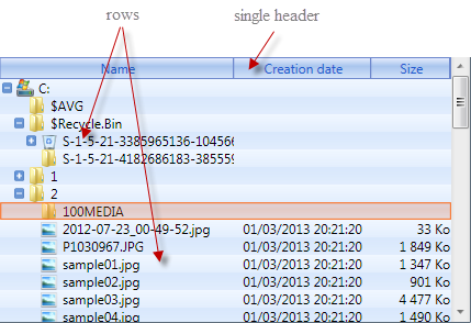 Wpf Grid: hierarchical view, single header